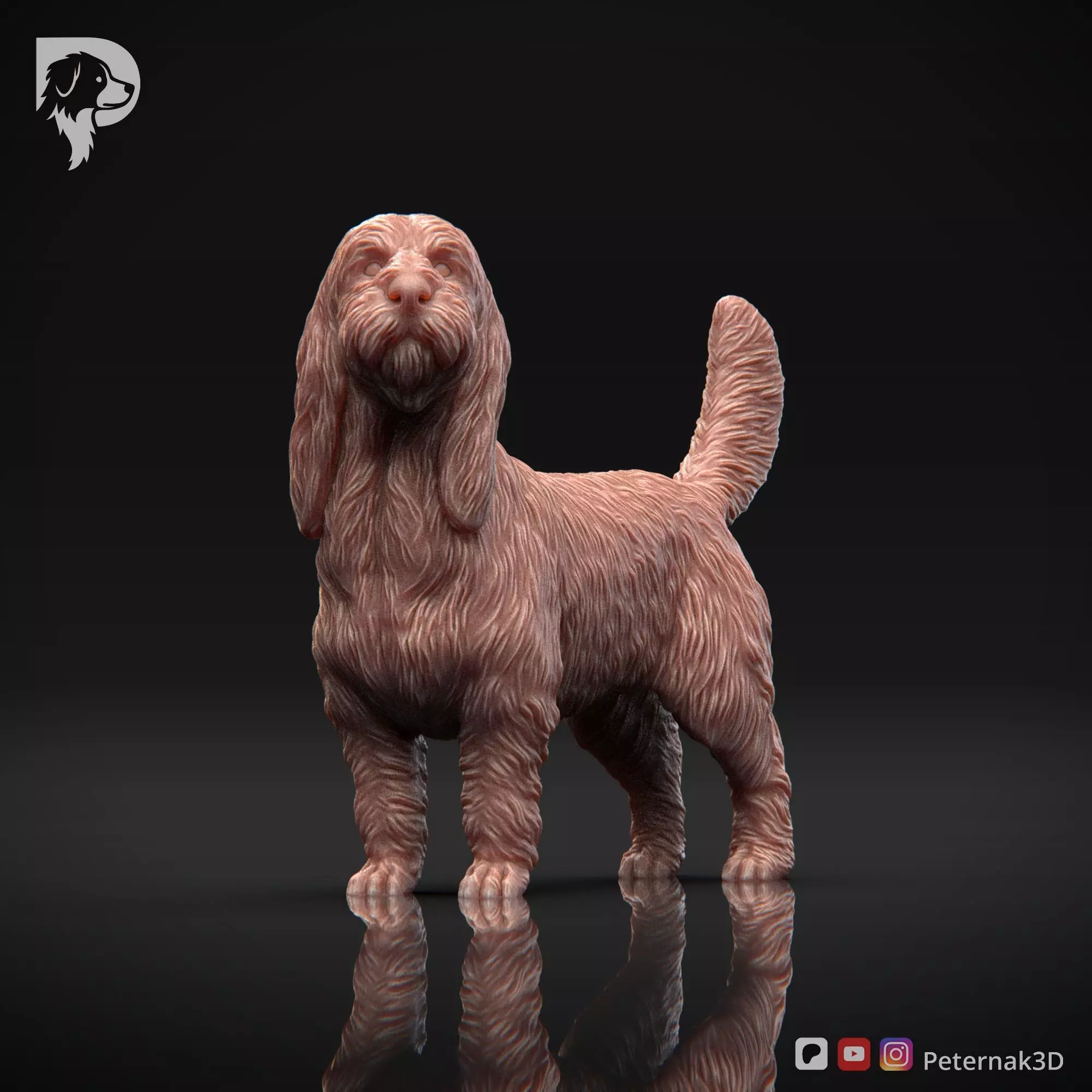 Dog 3D Print Model Basset Griffon Vendeen Grand Pose 02 STL 3D print model_11