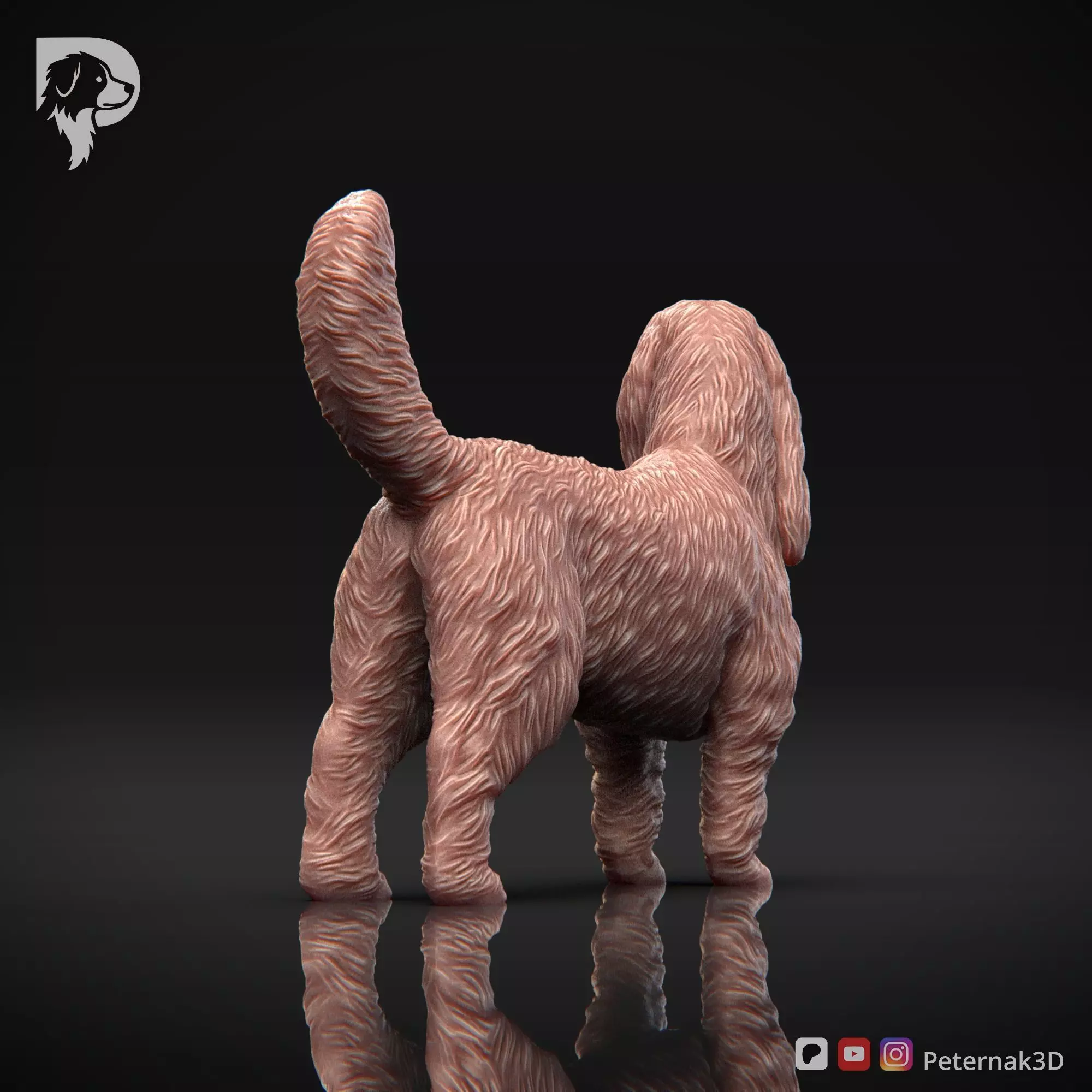 Dog 3D Print Model Basset Griffon Vendeen Grand Pose 02 STL 3D print model_6