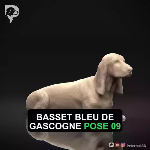 Dog 3D Print Model Basset Bleu de GascognePose 09 Ready STL