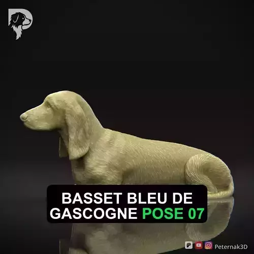 Dog 3D Print Model Basset Bleu de Gascogne Pose 07 Ready STL