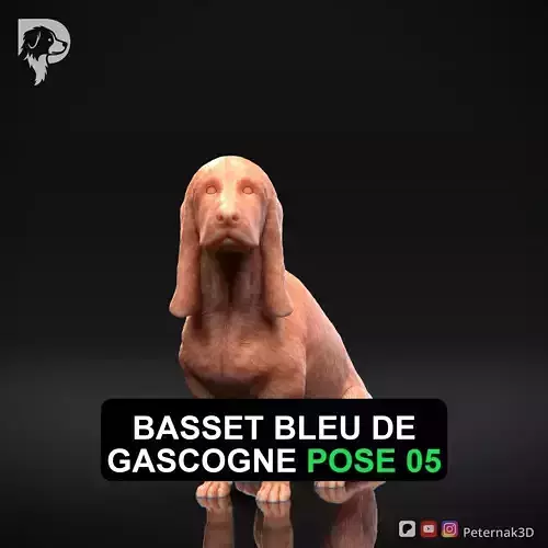 Dog 3D Print Model Basset Bleu de Gascogne Pose 05 Ready STL