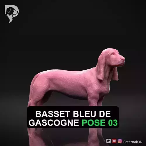 Dog 3D Print Model Basset Bleu de Gascogne Pose 03 Ready STL