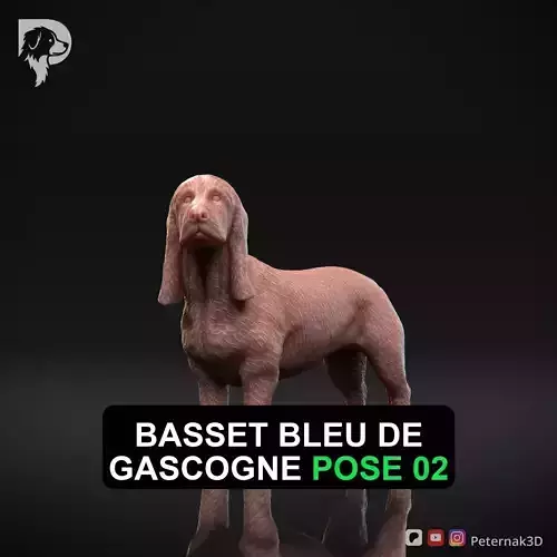 Dog 3D Print Model Basset Bleu de Gascogne Pose 02 Ready STL