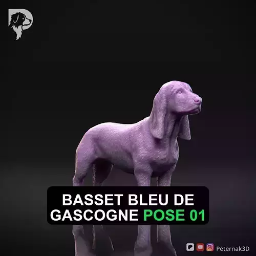  Dog 3D Print Model Basset Bleu de Gascogne Pose 01 Ready STL