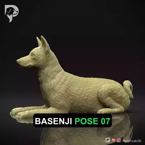 Dog 3D Print Model Basenji Pose 07 Ready STL