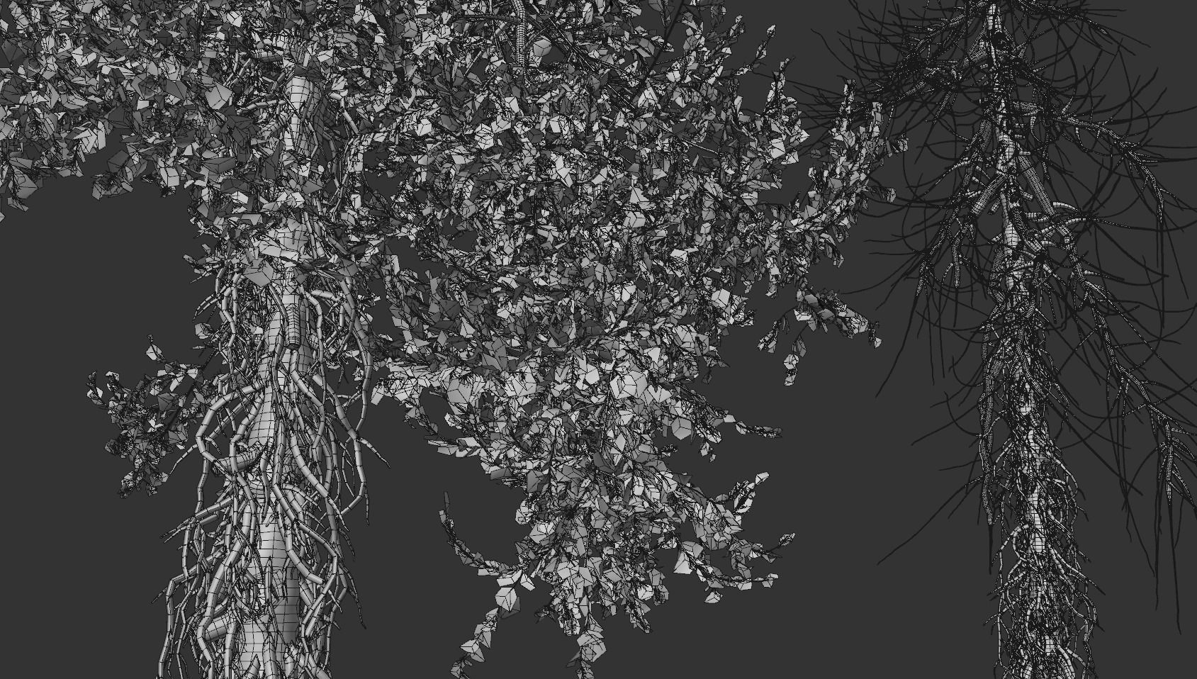 High quality Fir Tree 02 3D model_4