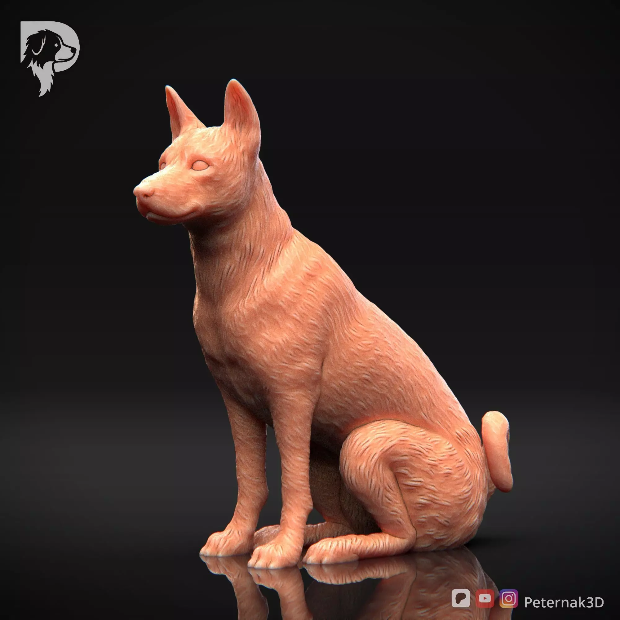 Dog 3D Print Model Basenji Pose 05 Ready STL 3D print model_11