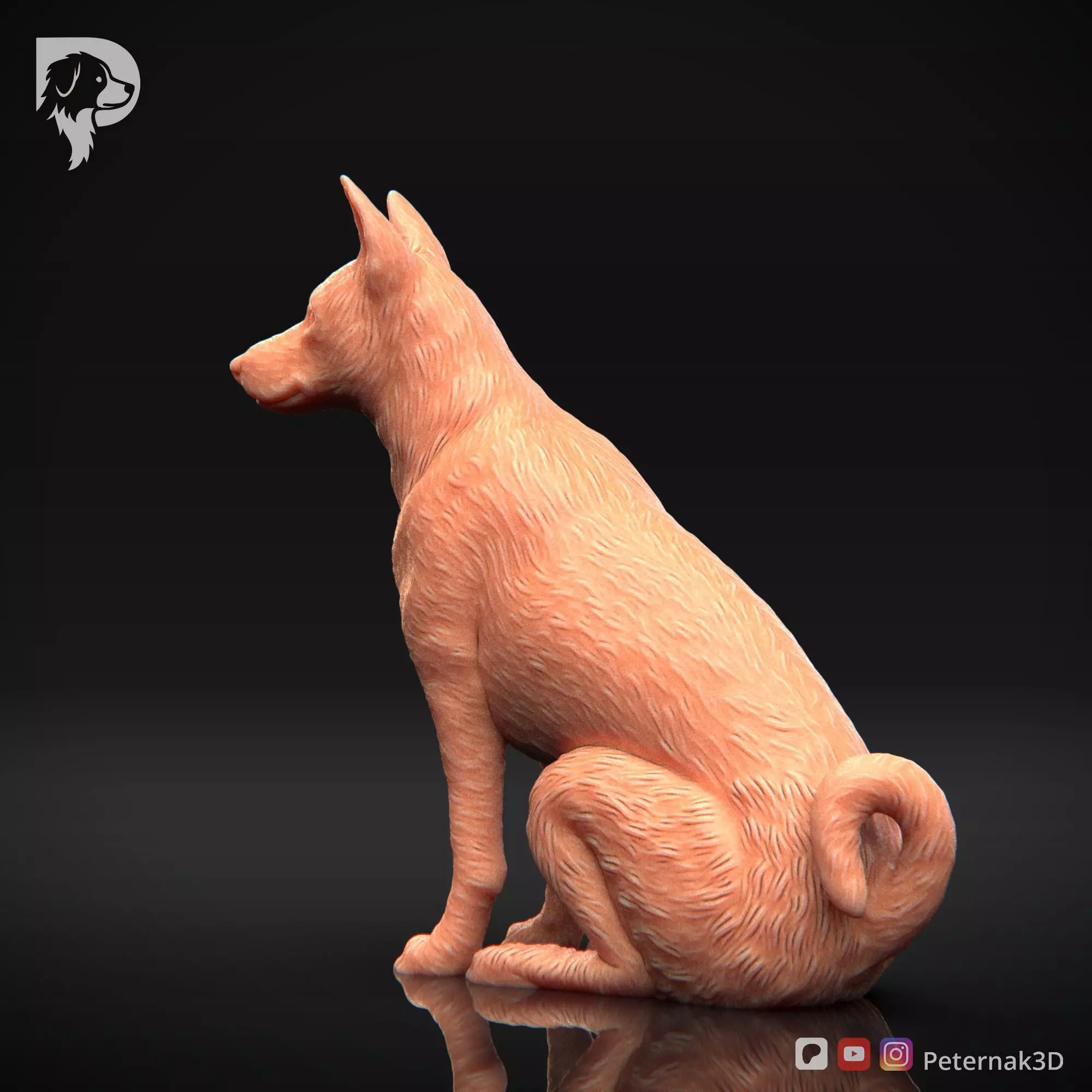 Dog 3D Print Model Basenji Pose 05 Ready STL 3D print model_9