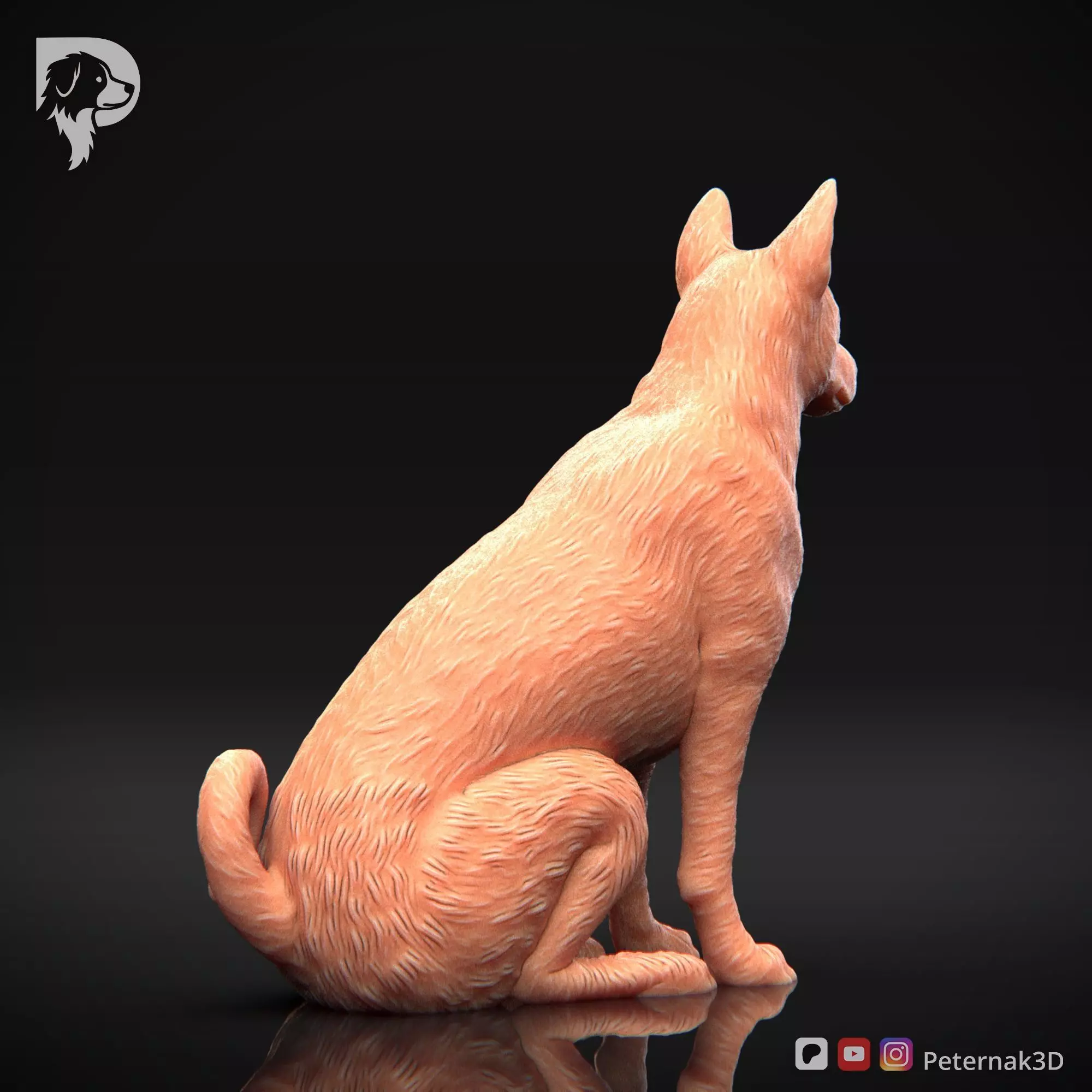 Dog 3D Print Model Basenji Pose 05 Ready STL 3D print model_6