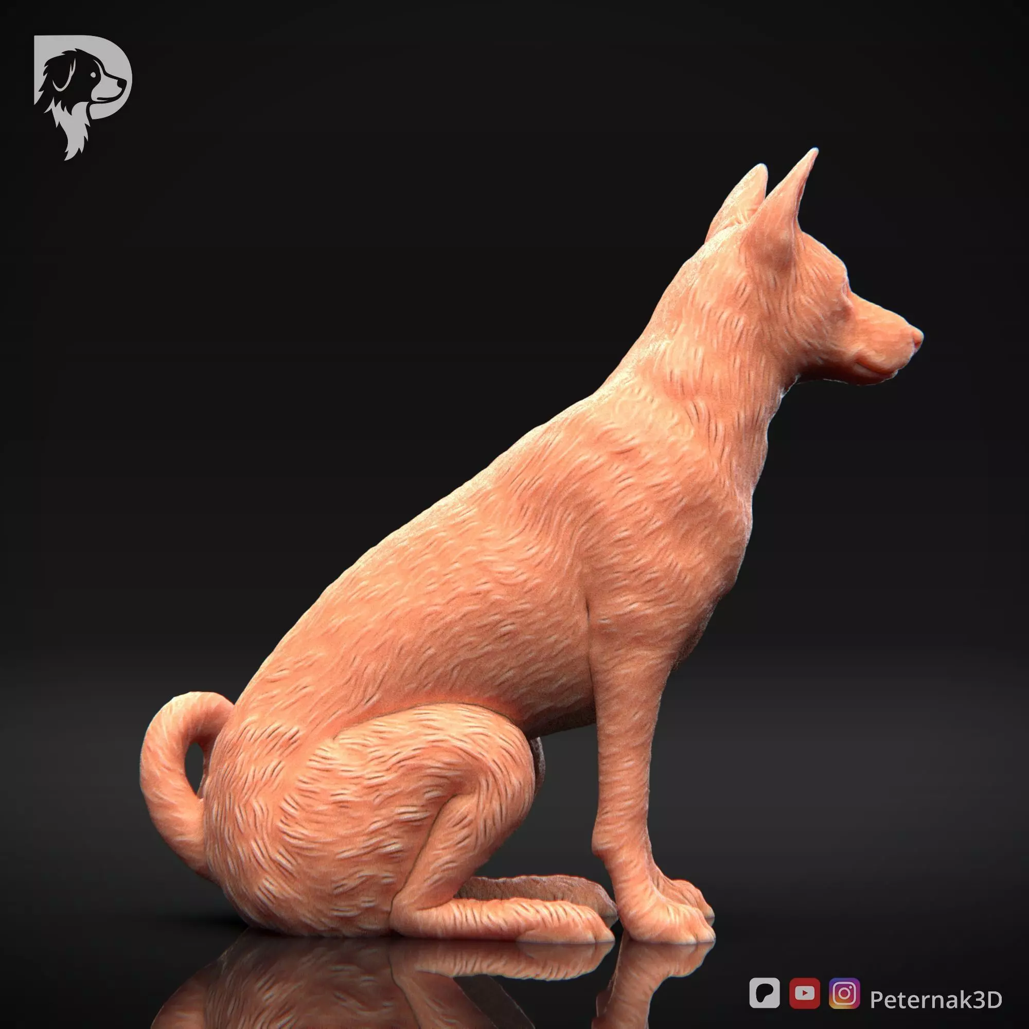 Dog 3D Print Model Basenji Pose 05 Ready STL 3D print model_5