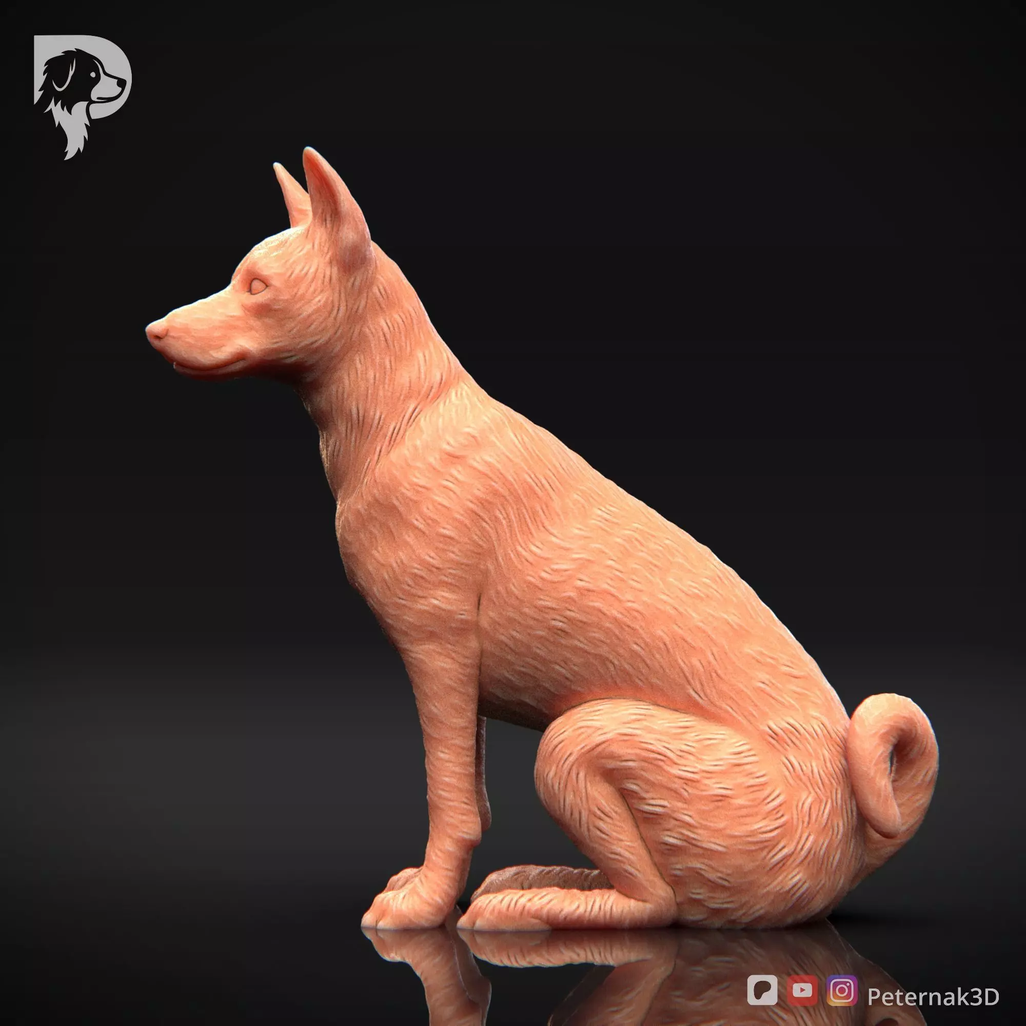 Dog 3D Print Model Basenji Pose 05 Ready STL 3D print model_10