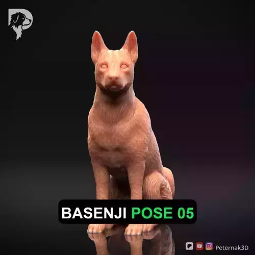 Dog 3D Print Model Basenji Pose 05 Ready STL