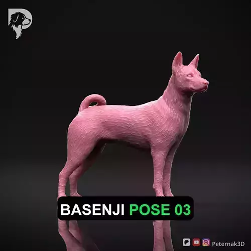 Dog 3D Print Model Basenji Pose 03 Ready STL
