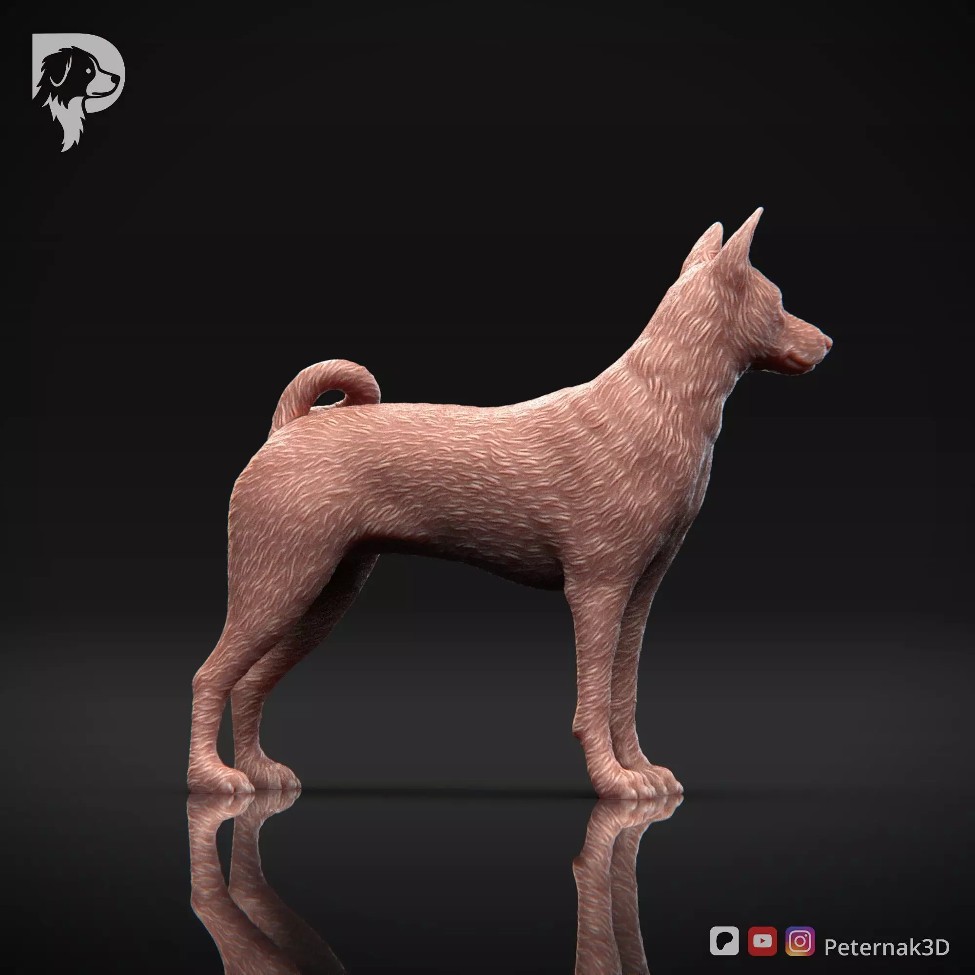 Dog 3D Print Model Basenji Pose 02 Ready STL 3D print model_4