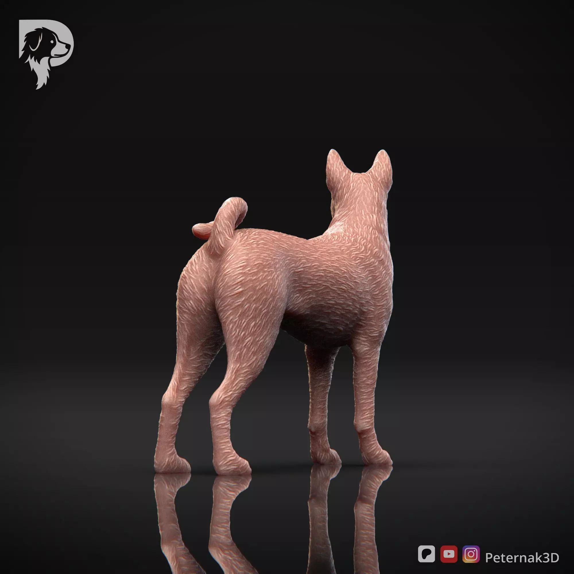 Dog 3D Print Model Basenji Pose 02 Ready STL 3D print model_6