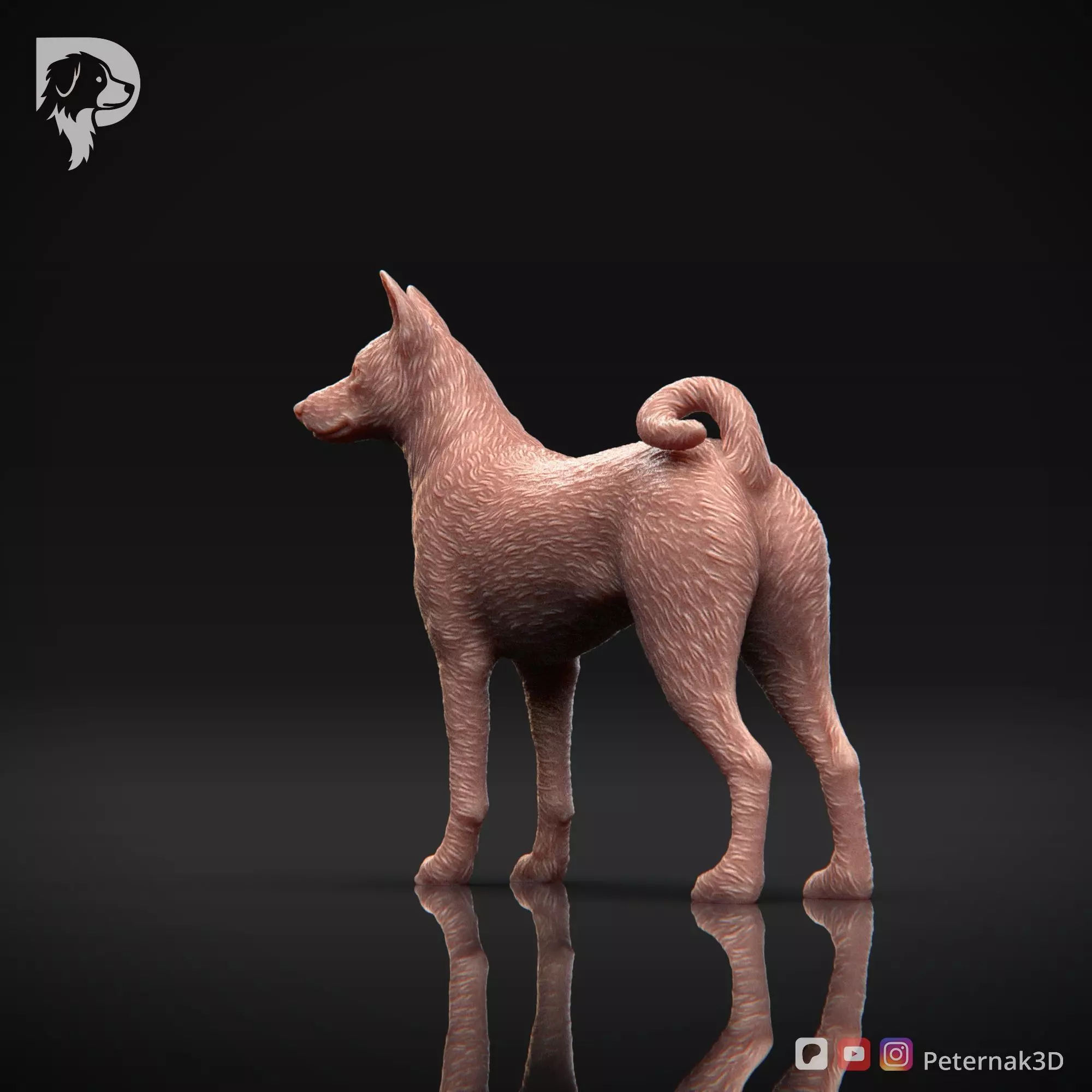 Dog 3D Print Model Basenji Pose 02 Ready STL 3D print model_8