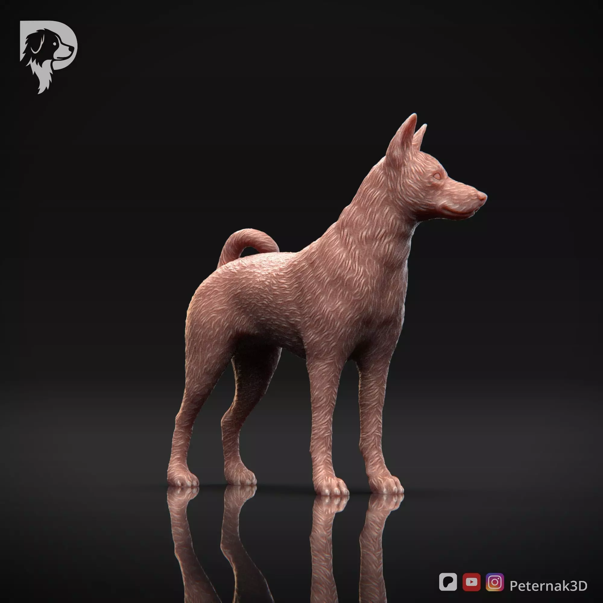 Dog 3D Print Model Basenji Pose 02 Ready STL 3D print model_3