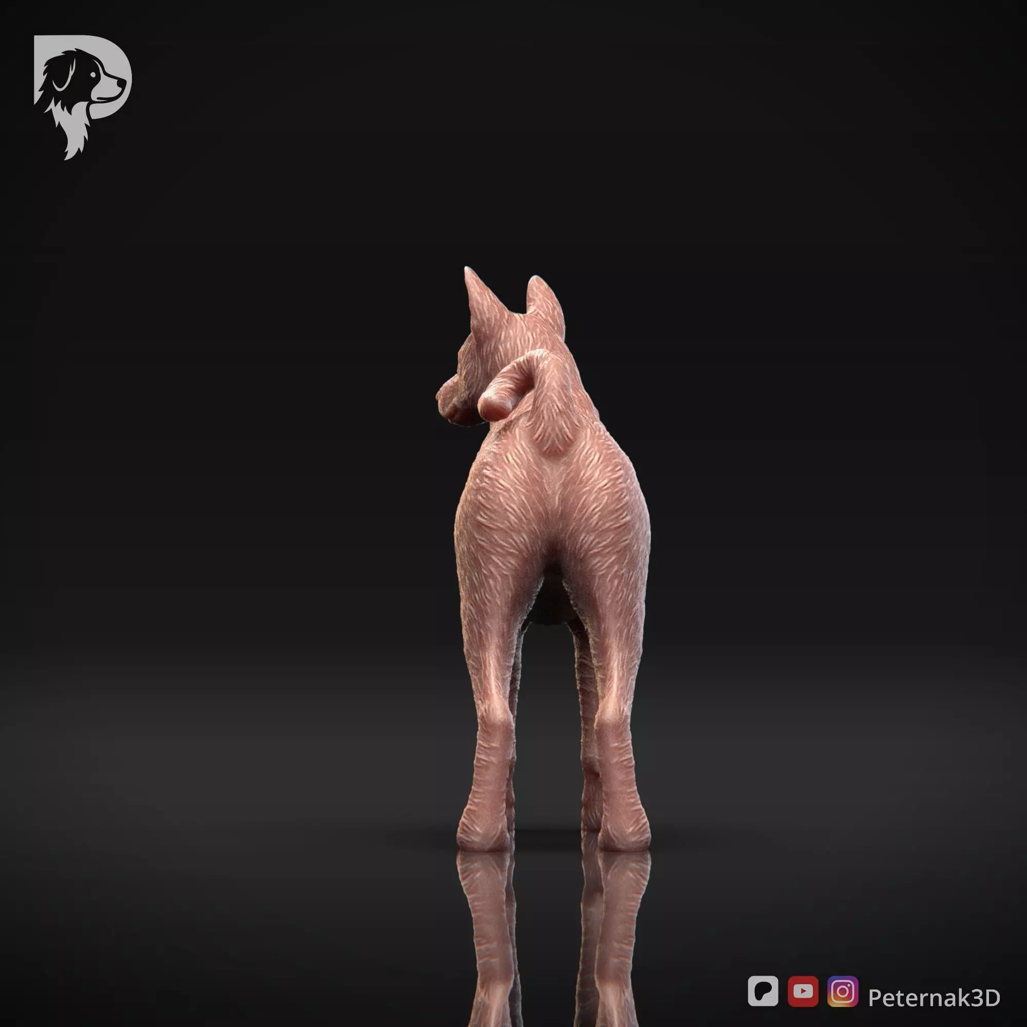 Dog 3D Print Model Basenji Pose 02 Ready STL 3D print model_7