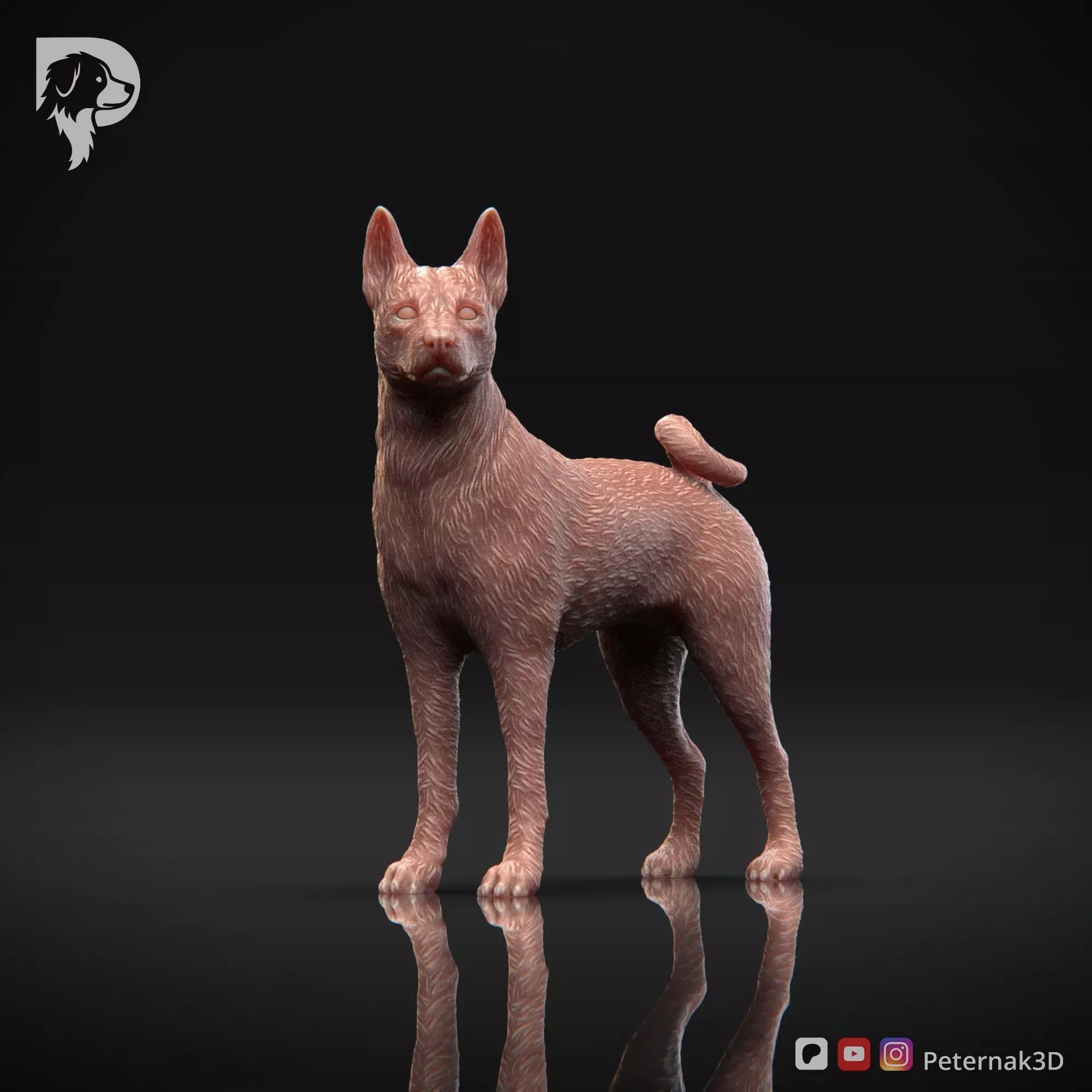 Dog 3D Print Model Basenji Pose 02 Ready STL 3D print model_11