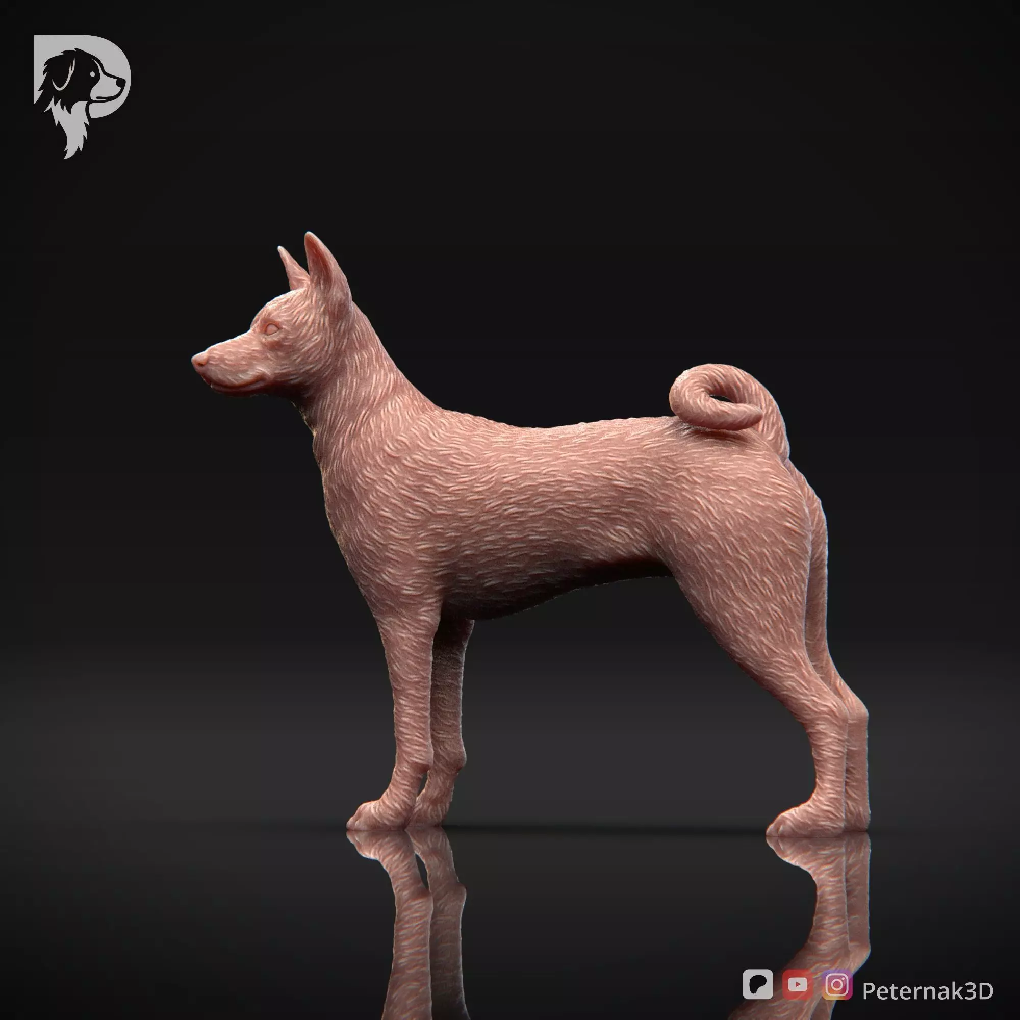 Dog 3D Print Model Basenji Pose 02 Ready STL 3D print model_9