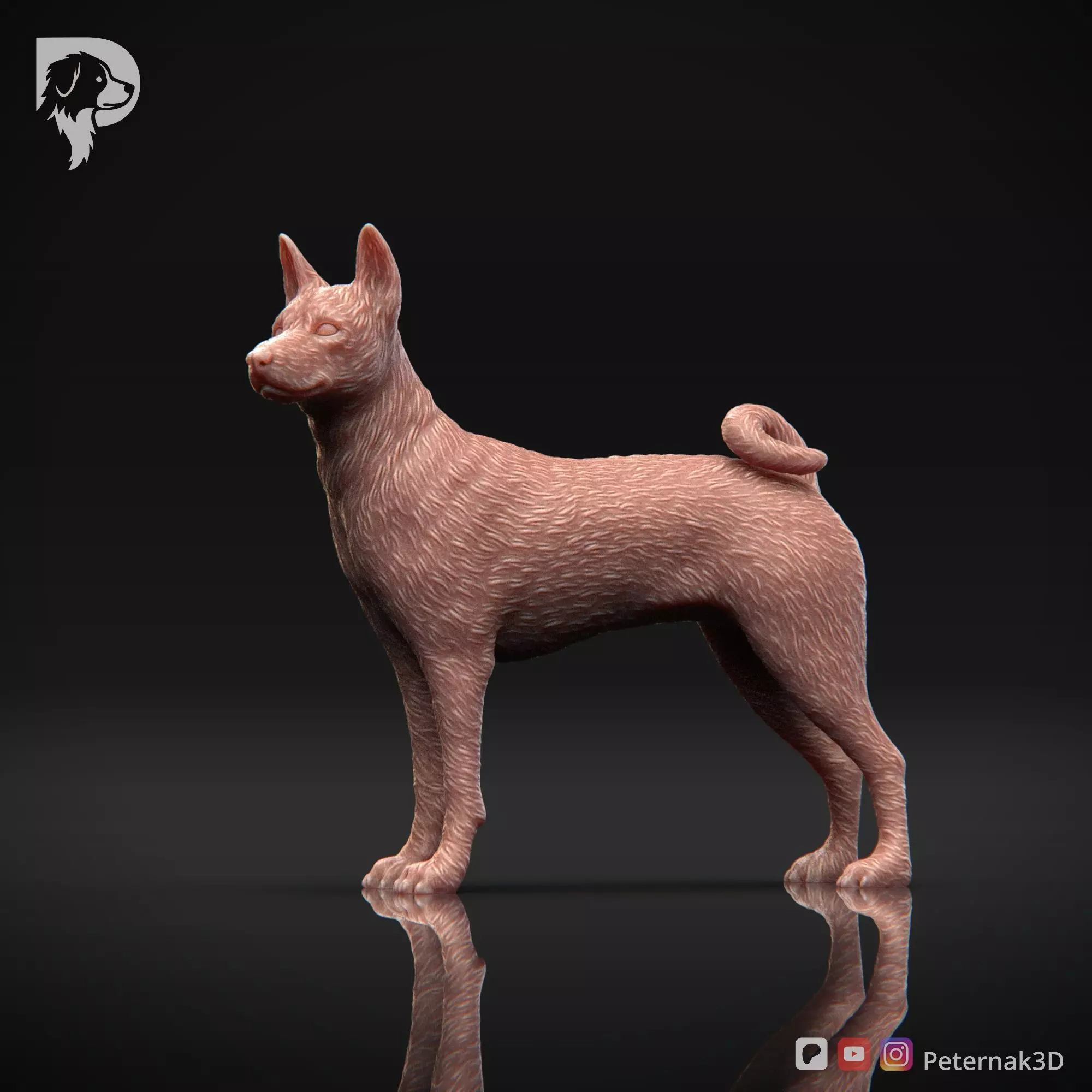 Dog 3D Print Model Basenji Pose 02 Ready STL 3D print model_10