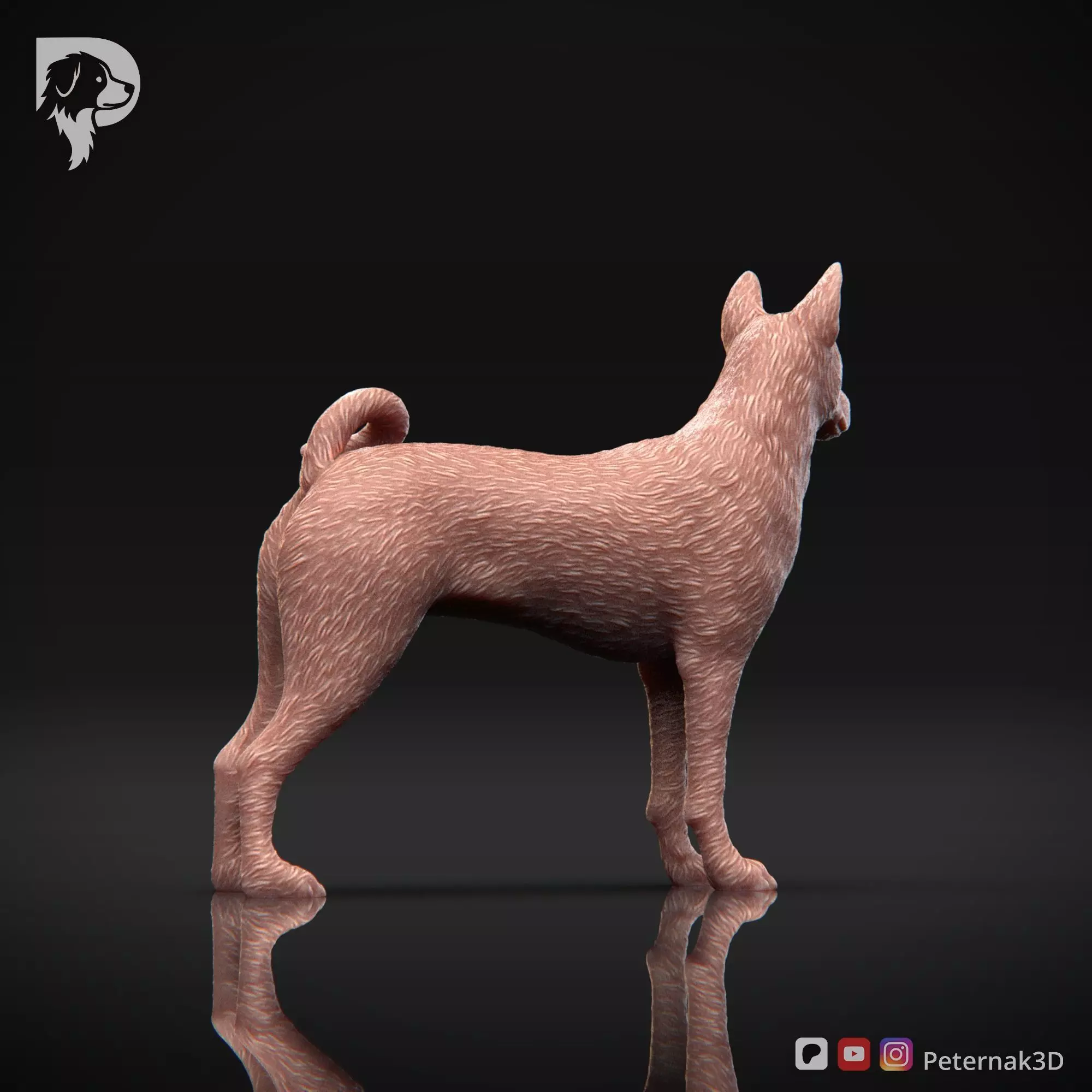 Dog 3D Print Model Basenji Pose 02 Ready STL 3D print model_5