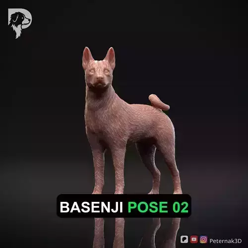 Dog 3D Print Model Basenji Pose 02 Ready STL