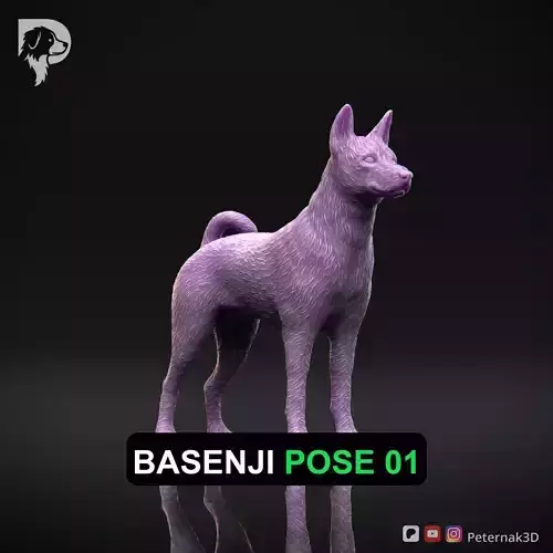 Dog 3D Print Model Basenji Pose 01 Ready STL