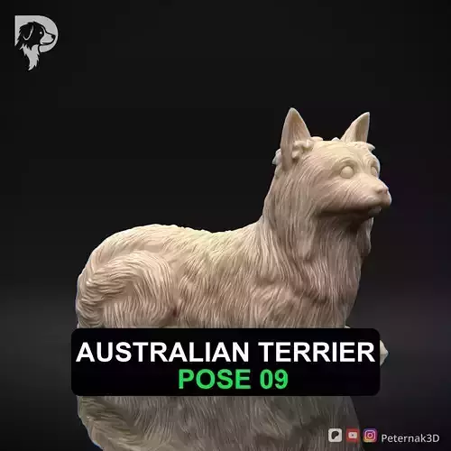 Dog 3D Print Model Australian Terrier Dog Pose 09 Ready STL