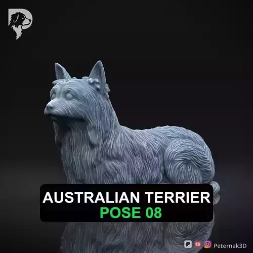 Dog 3D Print Model Australian Terrier Dog Pose 08 Ready STL