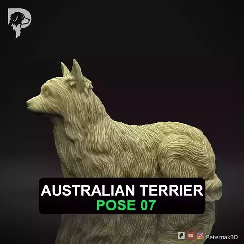 Dog 3D Print Model Australian Terrier Dog Pose 07 Ready STL