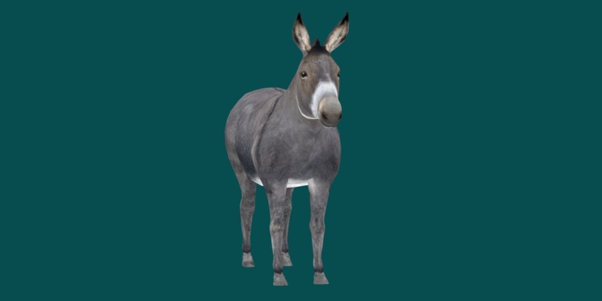 Donkey Animals lowpoly Low-poly 3D model_14