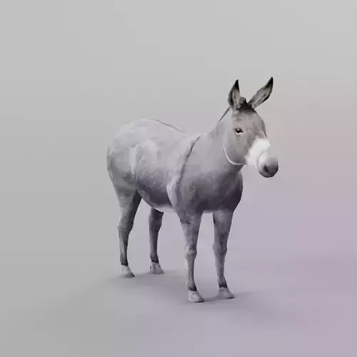 Donkey Animals lowpoly Low-poly 3D model