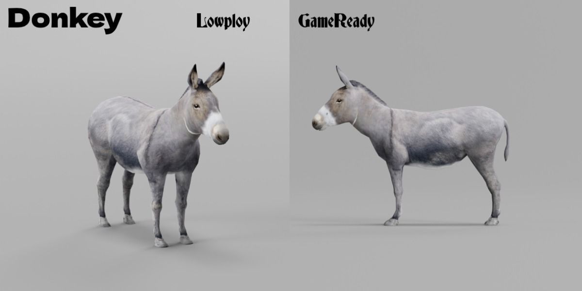 Donkey Animals lowpoly Low-poly 3D model_2