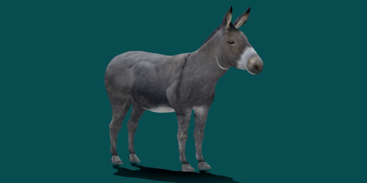 Donkey Animals lowpoly Low-poly 3D model_3