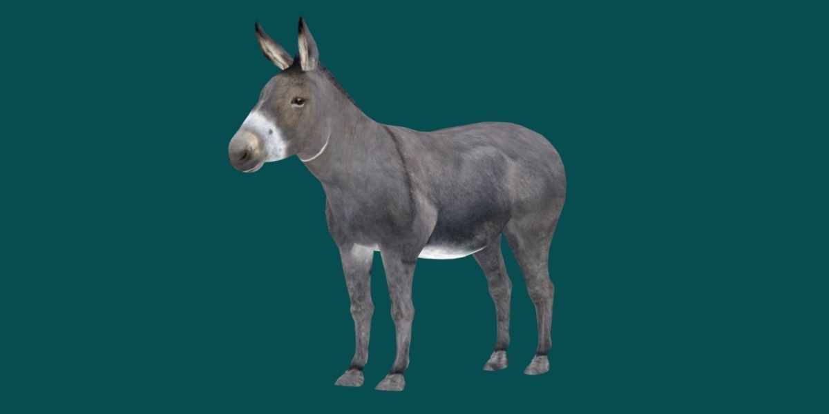 Donkey Animals lowpoly Low-poly 3D model_12