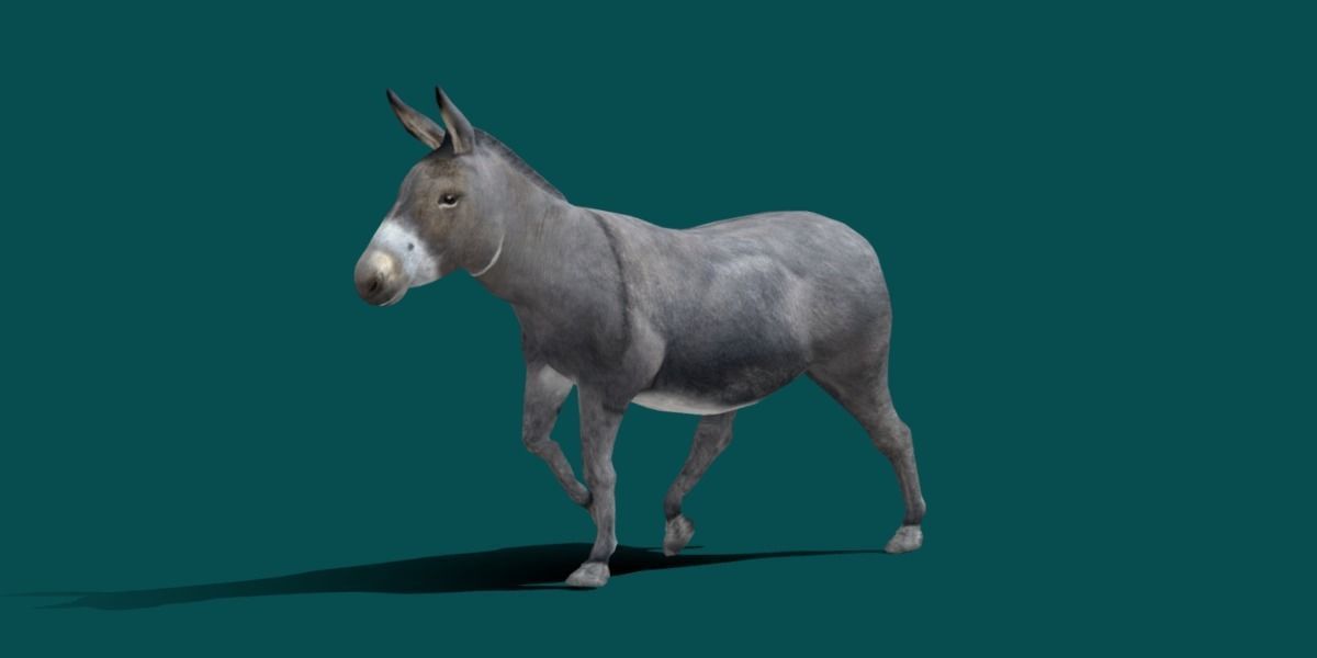 Donkey Animals lowpoly Low-poly 3D model_18