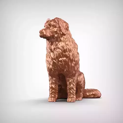 Bernese Mountain Dog 3D Print Model Pose 06 3D print model