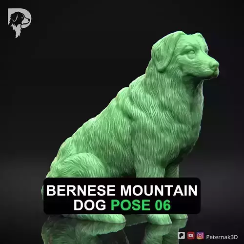 Dog 3D Print Model Bernese Mountain Dog Pose 06 Ready STL