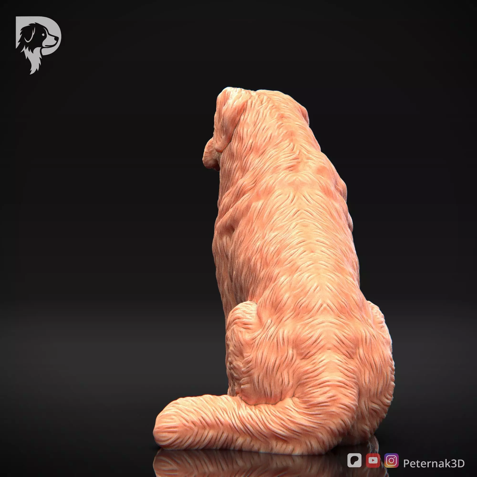 Dog 3D Print Model Bernese Mountain Dog Pose 05 Ready STL 3D print model_8