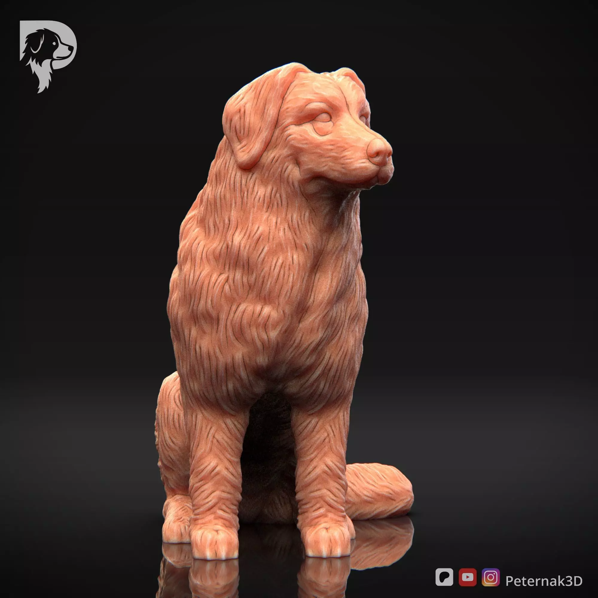 Dog 3D Print Model Bernese Mountain Dog Pose 05 Ready STL 3D print model_3