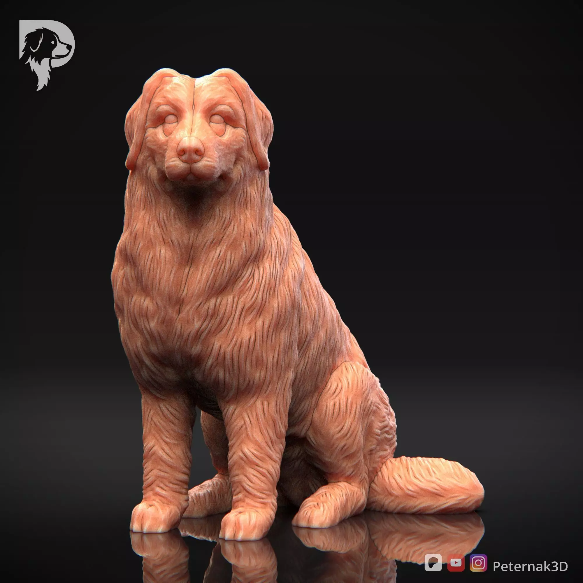 Dog 3D Print Model Bernese Mountain Dog Pose 05 Ready STL 3D print model_2