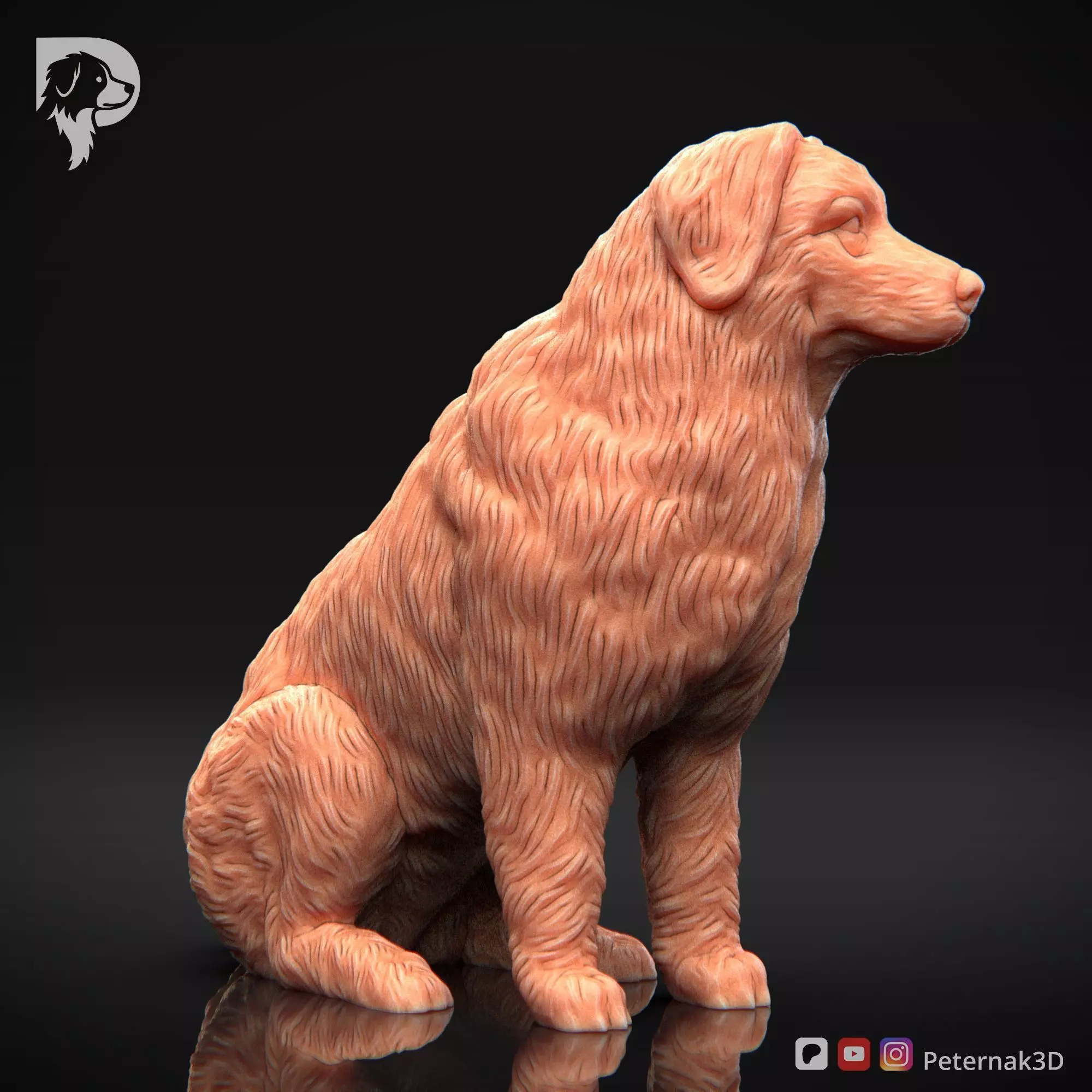 Dog 3D Print Model Bernese Mountain Dog Pose 05 Ready STL 3D print model_4
