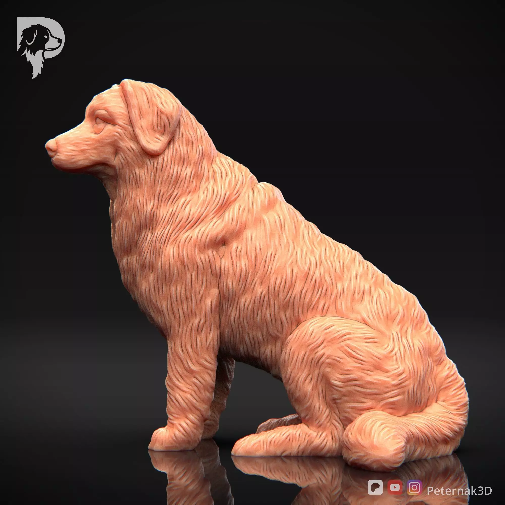 Dog 3D Print Model Bernese Mountain Dog Pose 05 Ready STL 3D print model_10