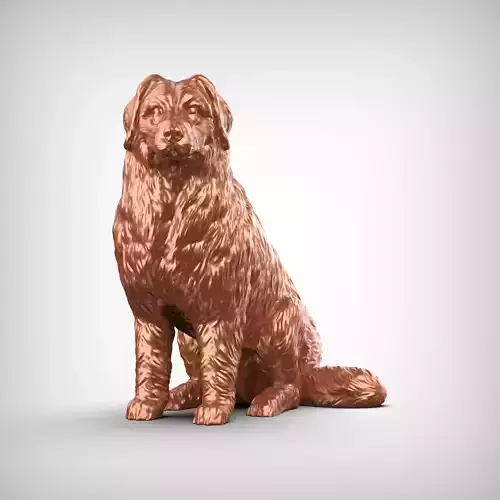 Bernese Mountain Dog 3D Print Model Pose 05 3D print model
