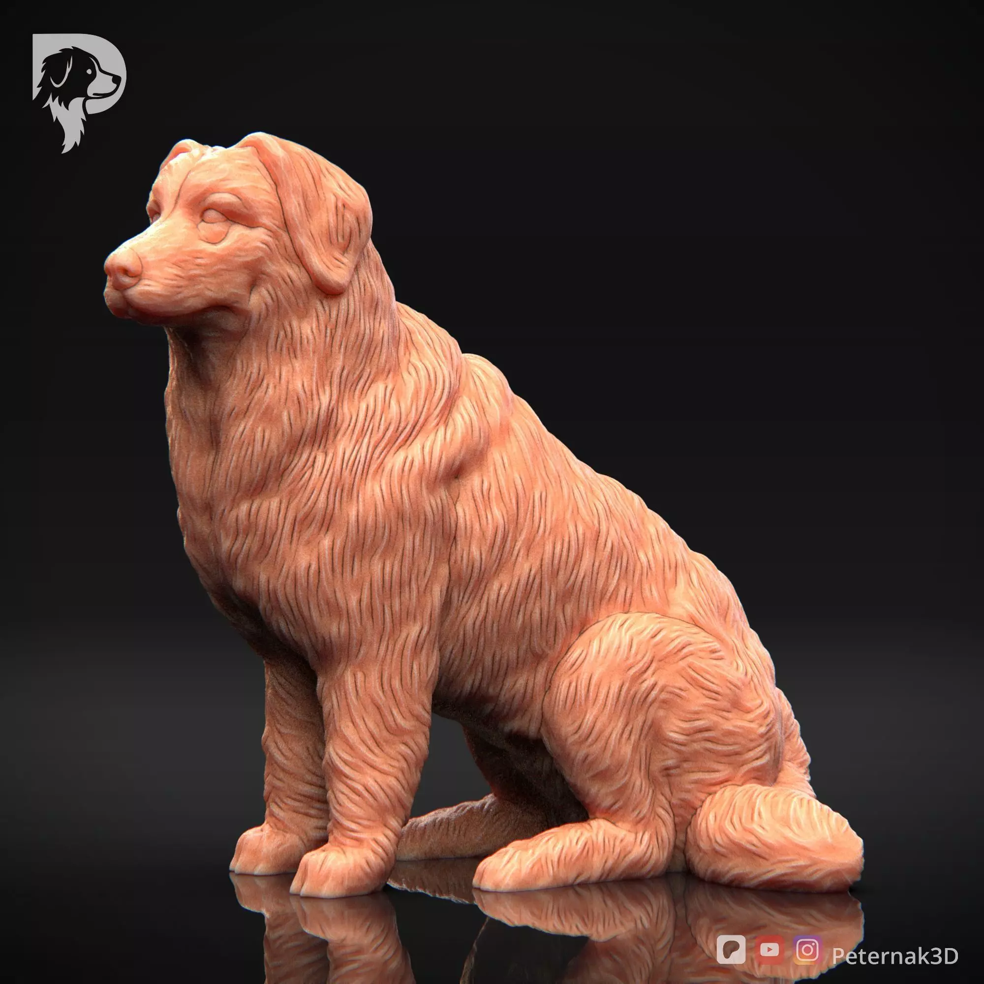 Dog 3D Print Model Bernese Mountain Dog Pose 05 Ready STL 3D print model_11