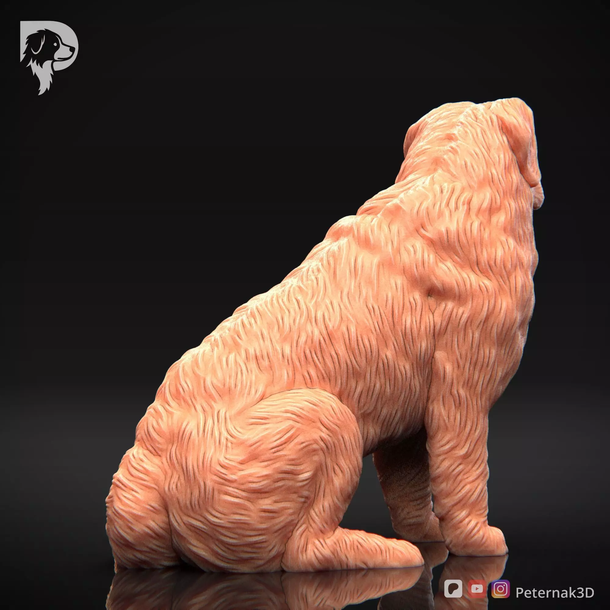 Dog 3D Print Model Bernese Mountain Dog Pose 05 Ready STL 3D print model_6