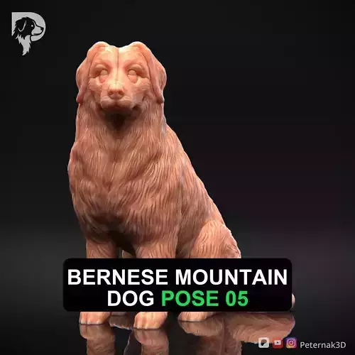 Dog 3D Print Model Bernese Mountain Dog Pose 05 Ready STL
