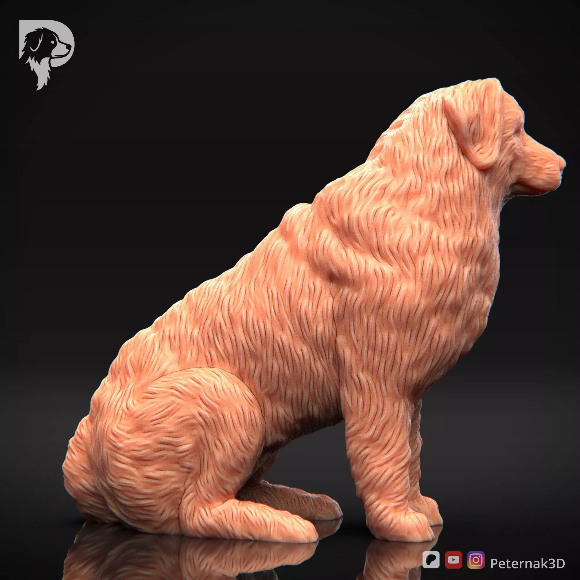 Dog 3D Print Model Bernese Mountain Dog Pose 05 Ready STL 3D print model_5