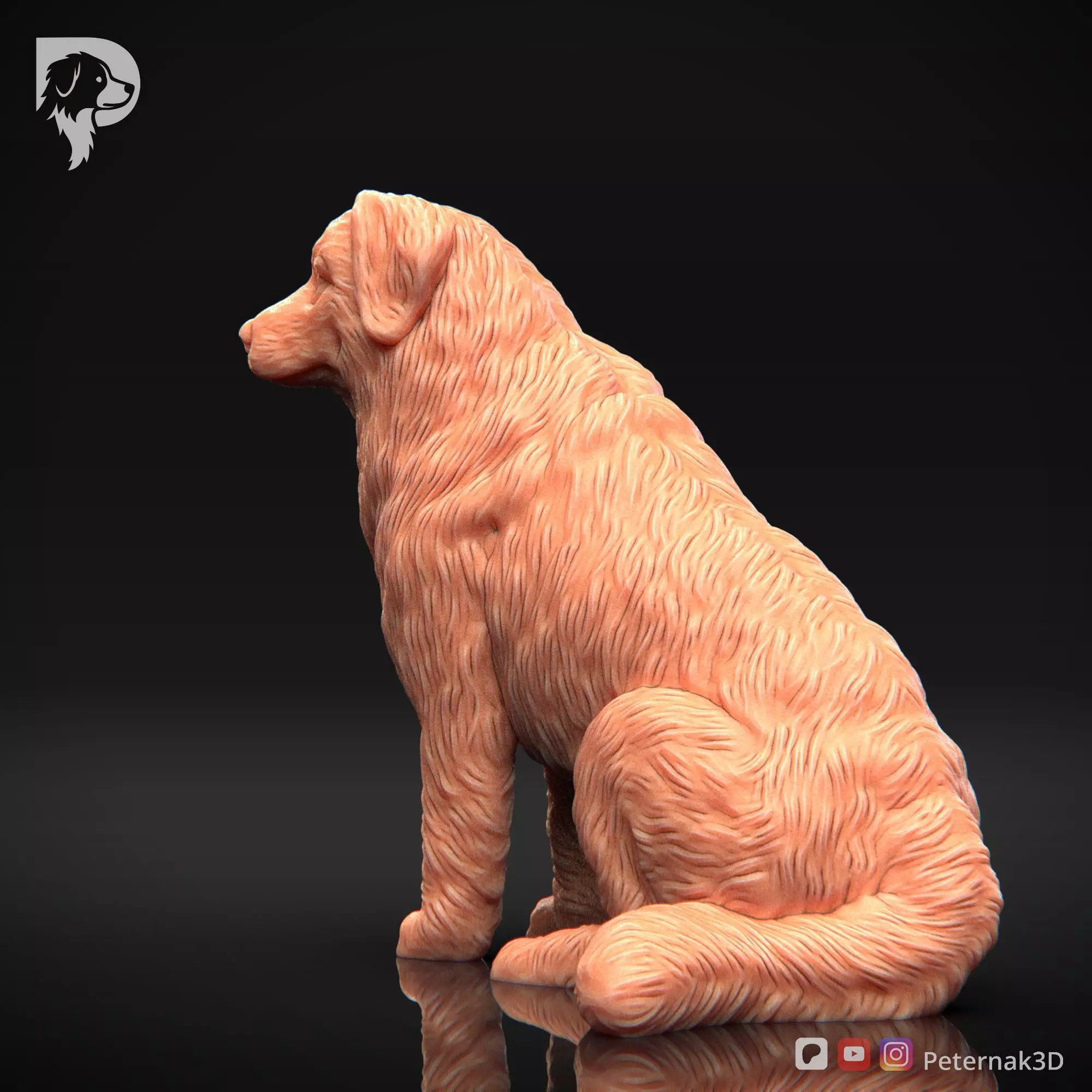 Dog 3D Print Model Bernese Mountain Dog Pose 05 Ready STL 3D print model_9